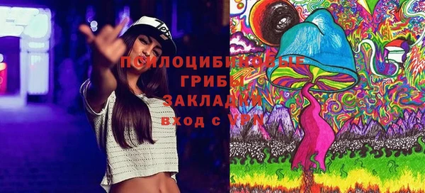 ешки Елабуга