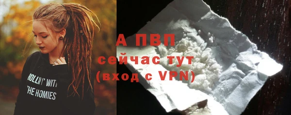 скорость Ельня