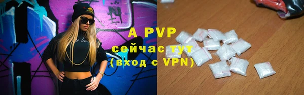 скорость Ельня