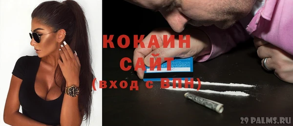 скорость Ельня