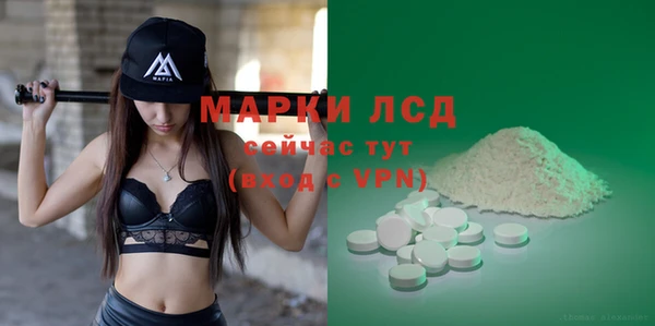 скорость Ельня