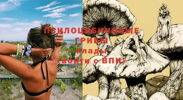 бошки Елизово