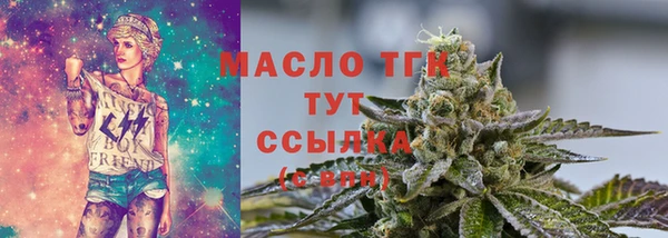 скорость Ельня