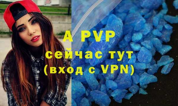 скорость Ельня