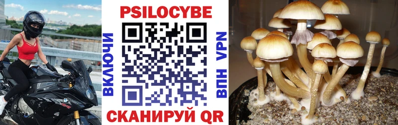 Галлюциногенные грибы Cubensis  Купить где  Вязьма 